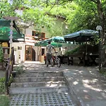 Vulture Centre Eastern Rhodopes Madzharovo